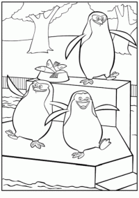 pinguin-9