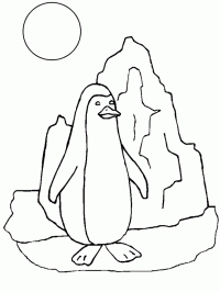 pinguin-10