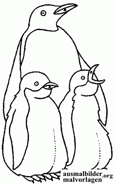 pinguin-18.gif
