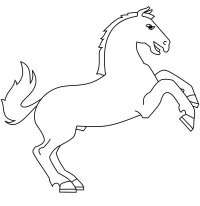 pferde-9