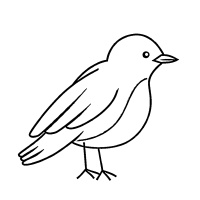 vögel-10