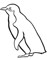 pinguin-3