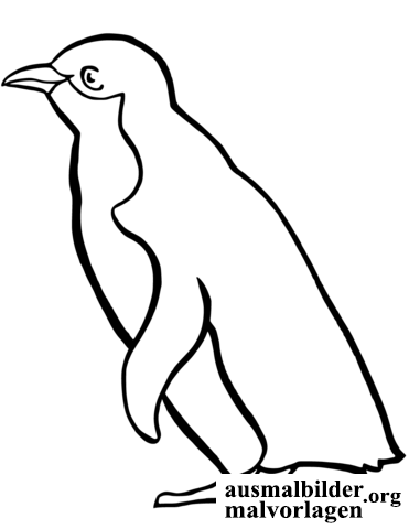 pinguin-3.png
