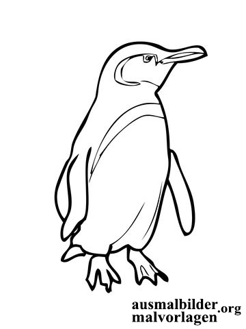 pinguin-6.jpg
