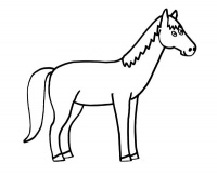 pferde-13
