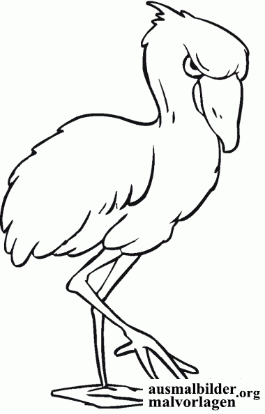 flamingo-1.gif